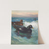 Velvet-Scoter (1913) by Archibald Thorburn