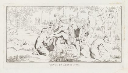 Venus et Adonis Mors