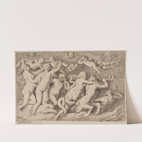 Venus Rising from the Sea by Peter Paul Rubens