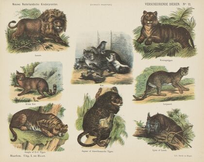 Verscheurende dieren (1875-1919)