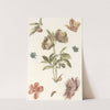 Verschillende bloemen en een rups by Anonymous