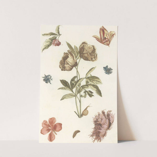 Verschillende bloemen en een rups by Anonymous