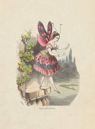 Vertu médicale du boléro (1852)