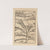 Vier Bücher der Ritterschafft Pl.053 by Flavius Vegetius Renatus