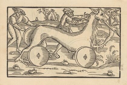 Vier Bücher der Ritterschafft Pl.116