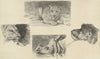 Vier dieren