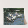 Vier Enten im Teich by Alexander Koester