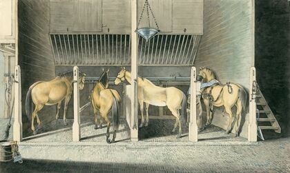 Vier paarden in stalboxen, Scharreweide