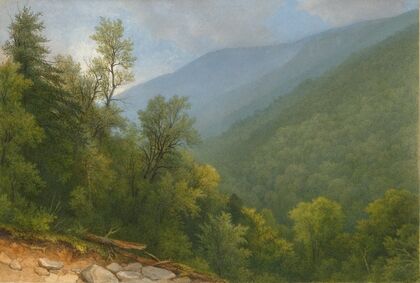 View Down the Valley