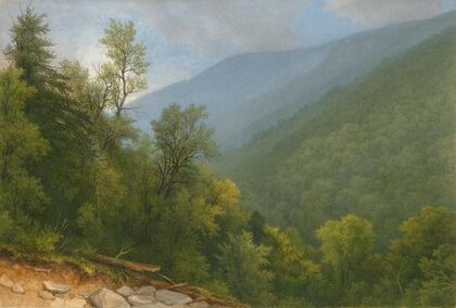 View Down the Valley