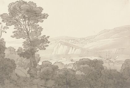 View from a Wood, Overlooking the River and Hills at Teignmouth, Devon