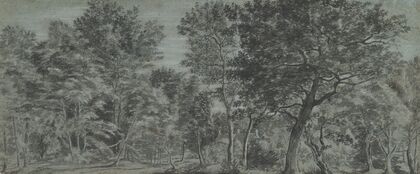 View of a Forest