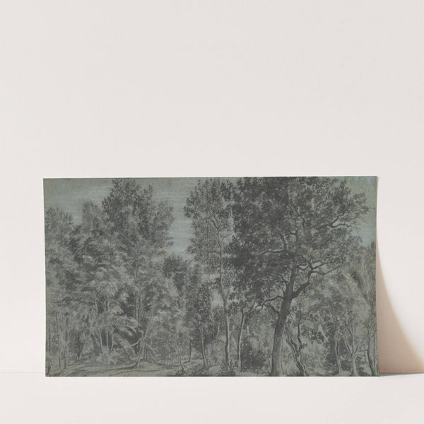 View of a Forest (17th century) by Joris van der Haagen