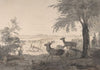 View of Dyrehaven