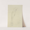 View of musculature of the leg from the front by M.A. Nattali