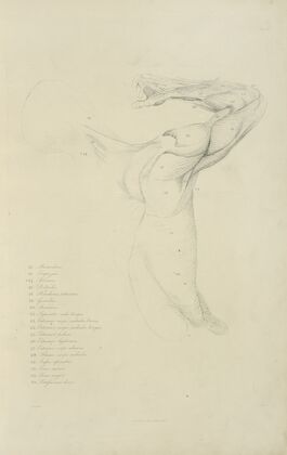 View of right arm and side of torso from the back