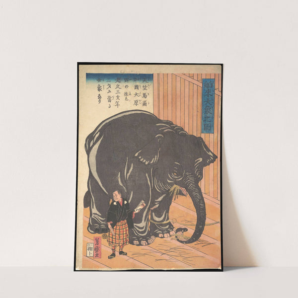 View of the Large Imported Elephant (1863) by Utagawa Yoshimori