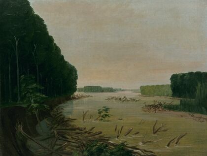 View On The Missouri, Alluvial Banks Falling In, 600 Miles Above St. Louis