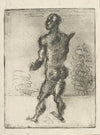 Vildmand
