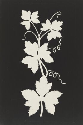 Vine leaves