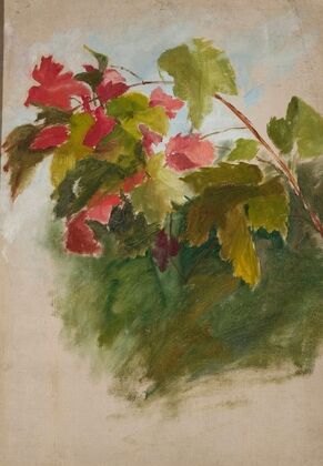 Vine leaves
