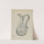 Vinegar Cruet by Ralph Atkinson