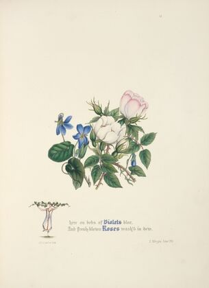 Violets and roses