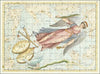 Virgo and Libra (1801)