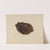 Visiting Card Tray by Mildred Ford
