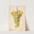 Vitis: Hybron Blanc by Elsie E. Lower