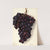 Vitis: Key by Elsie E. Lower