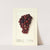 Vitis: Masters Roosevelt by Ellen Isham Schutt