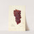 Vitis: No by Amanda Almira Newton