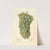 Vitis: Palarusa by Ellen Isham Schutt