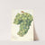 Vitis: Servan Blanc by Amanda Almira Newton