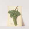 Vitis: White Corinthe by Ellen Isham Schutt