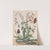 Vlinders, een slang en een schildpad rondom een bloeiende agave (1620 - 1720) by Maria Monninckx