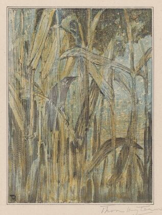 Vogel in het riet