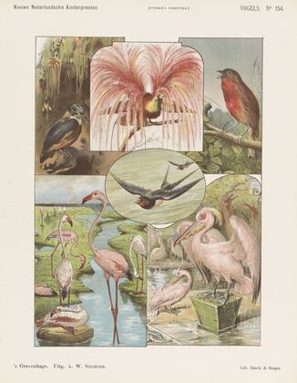Vogels (1875-1919)