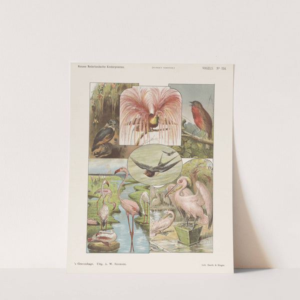 Vogels (1875-1919) by Emrik & Binger