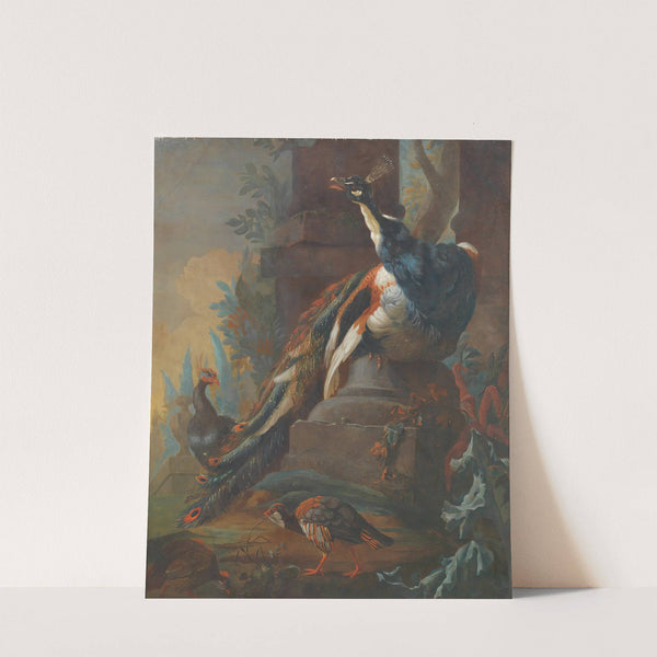 Vogels Bij Een Ruïne by Abraham Bisschop