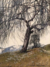 Vorfrühling