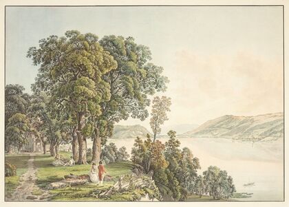 Vue sur le Lac de Bienne. prise de l’Isle de St Pierre dans le Canton de Berne (1915-1945)