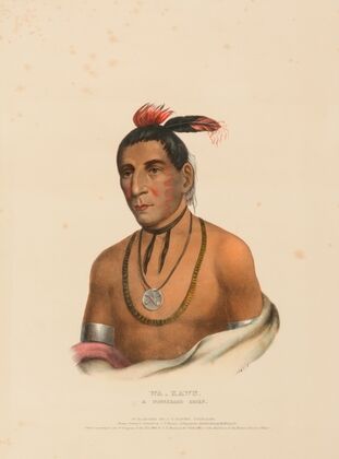 Wa-Kawn, A Winnebago Chief