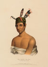 Wa-Kawn-Ha-Ka, A Winnebago Chief
