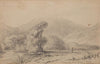Waikanae Valley and river