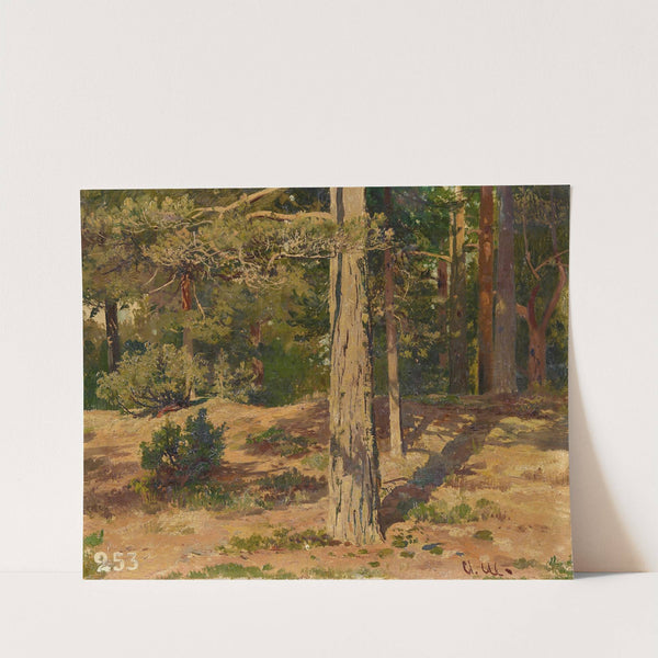 Waldinneres by Ivan Shishkin