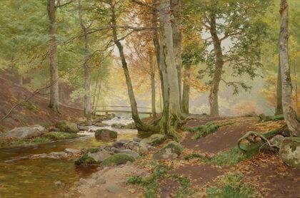 Waldlandschaft