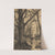 Waldweg (1909) by Franz Skarbina