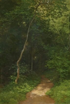 Waldweg Forest Track